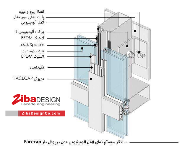 کرتین وال فیس کپ